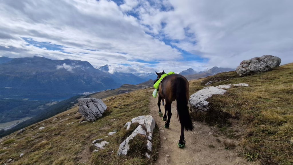 Swiss Galoppers Hufschuhe auf dem Berg