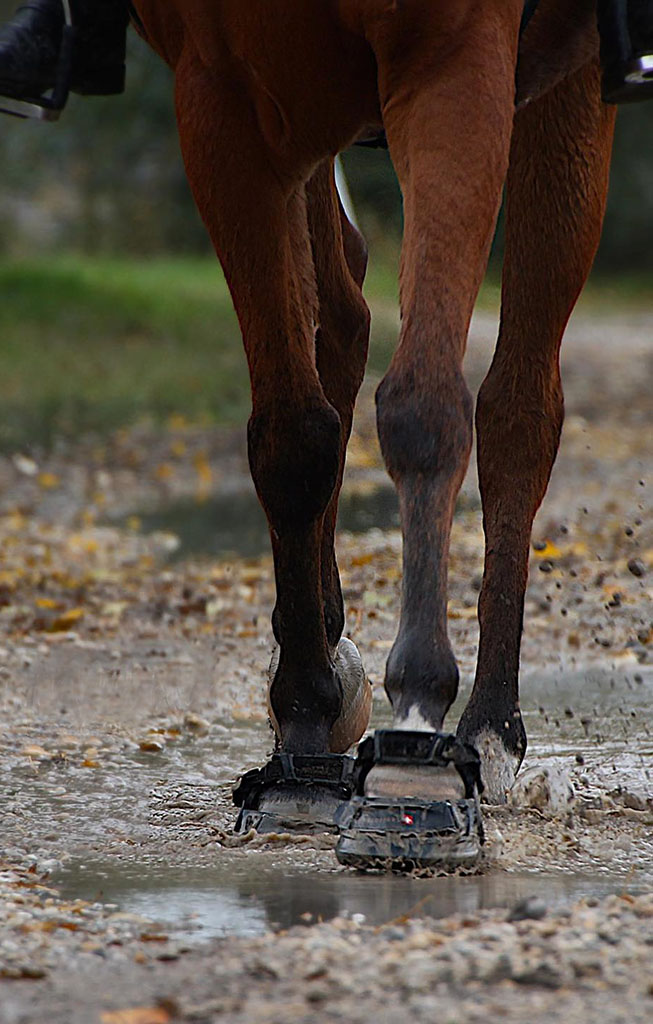 Swiss Galoppers Hufschuhe SG-X im Gelände