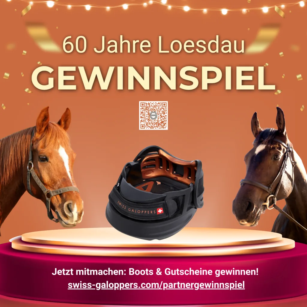 Gewinnspiel 60 Jahre Loesdau